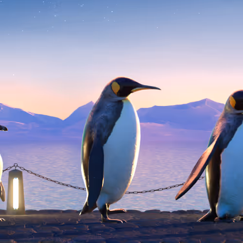 Fivepenguins