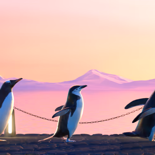 Fivepenguins