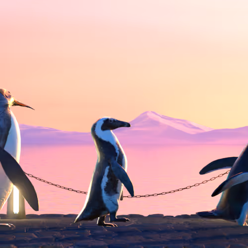 Fivepenguins