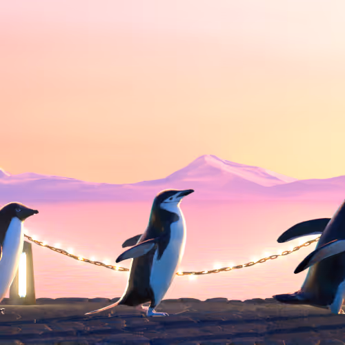Fivepenguins