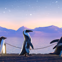 Five Penguins #690