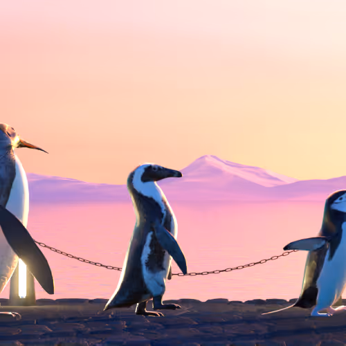 Fivepenguins