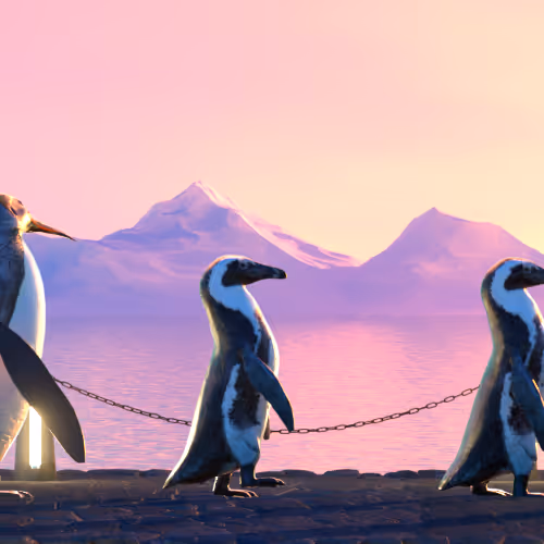 Five Penguins #2555