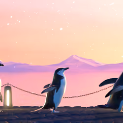 Five Penguins #2008