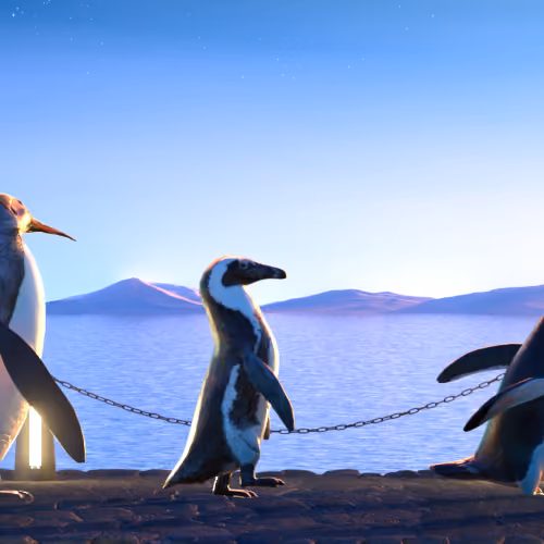 Five Penguins #2199