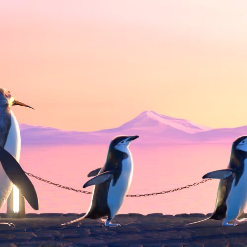 Fivepenguins