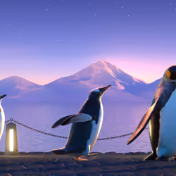 Five Penguins #3013