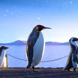 Five Penguins #2016