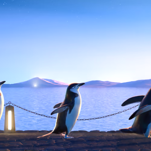 Five Penguins #897