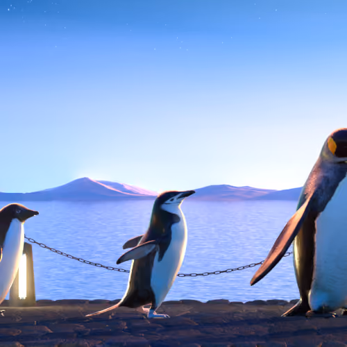 Five Penguins #2771