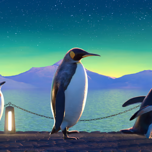 Five Penguins #748