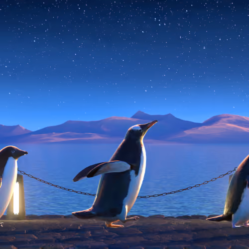 Five Penguins #2552