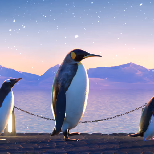 Five Penguins #585