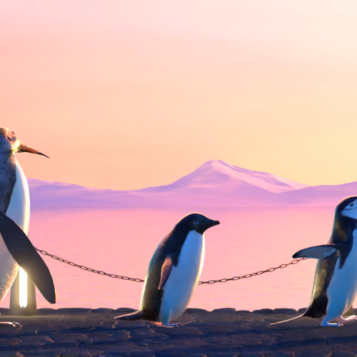 Five Penguins #2652