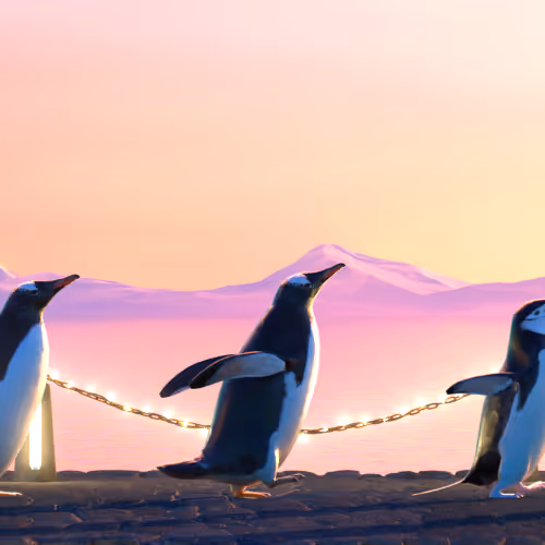 Fivepenguins