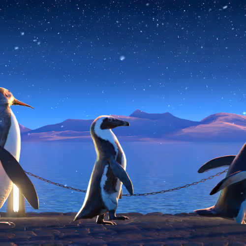 Fivepenguins