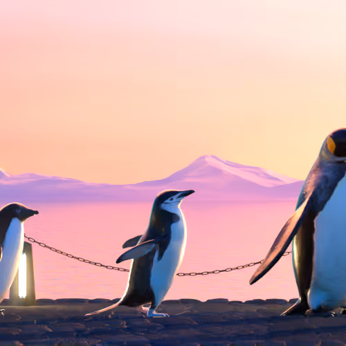 Fivepenguins