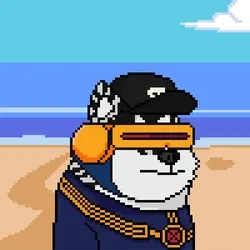 Doge Heroes #4673