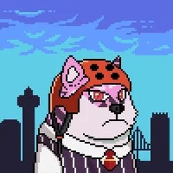 Doge Heroes #6267