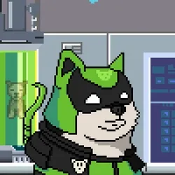 Doge Heroes #5380