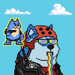 Doge Heroes #4354