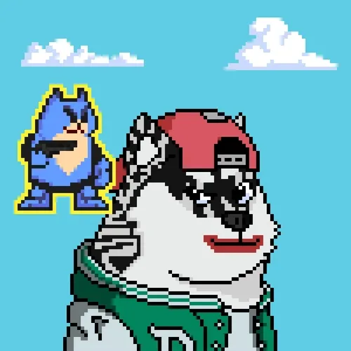 Doge Heroes #1207