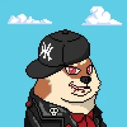 Doge Heroes #1248