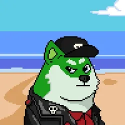 Doge Heroes #2441