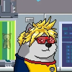 Doge Heroes #281