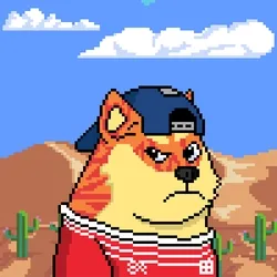 Doge Heroes #458