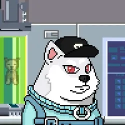 Doge Heroes #3433