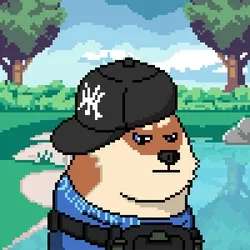 Doge Heroes #514