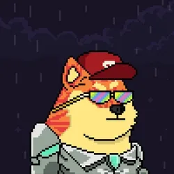 Doge Heroes #5996