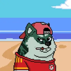 Doge Heroes #1701
