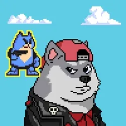 Doge Heroes #1821