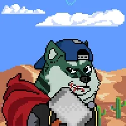 Doge Heroes #97