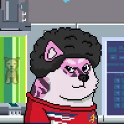 Doge Heroes #883