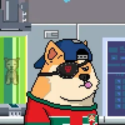 Doge Heroes #3437