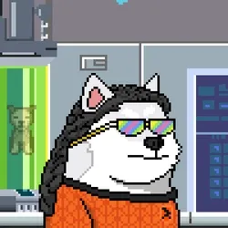 Doge Heroes #2118