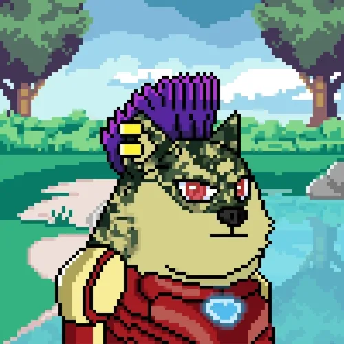 Doge Heroes #4848