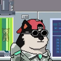 Doge Heroes #6054