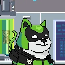 Doge Heroes #3452