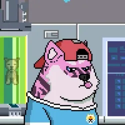 Doge Heroes #4441