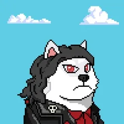 Doge Heroes #534