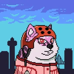 Doge Heroes #2277