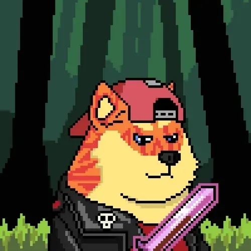 Doge Heroes #12