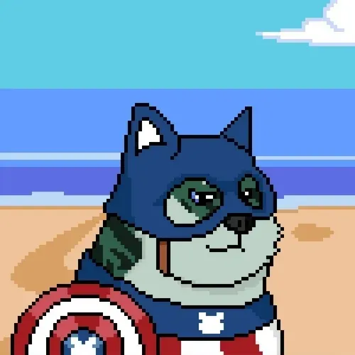 Doge Heroes #1824