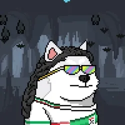 Doge Heroes #4508