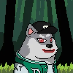 Doge Heroes #1584