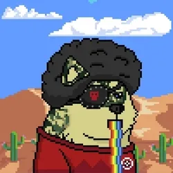 Doge Heroes #770